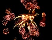 Feuerwerk Explosion Klasse 1 - 8.2 ADR 2021"
